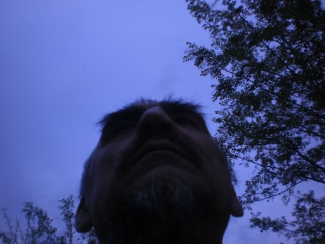 Бела Тукадруз, загледан високо-високо (пролеће 2013. Снимак И. Л.)
